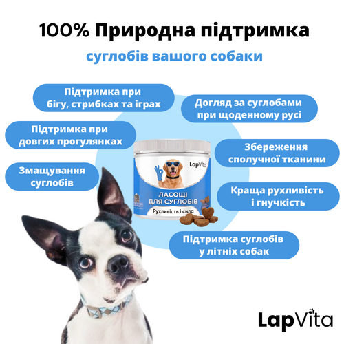 120 натуральних ласощів для здоров'я суглобів