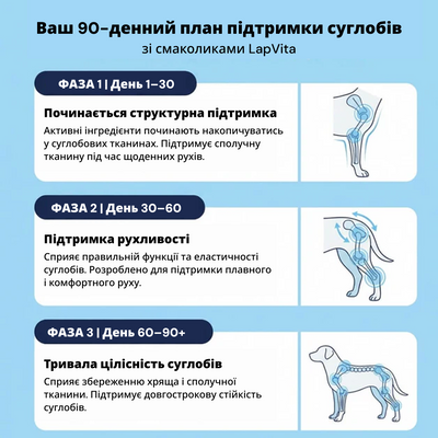 120 натуральних ласощів для здоров'я суглобів