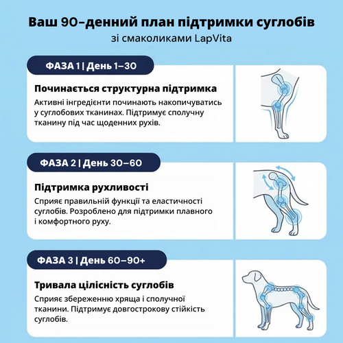120 натуральних ласощів для здоров'я суглобів