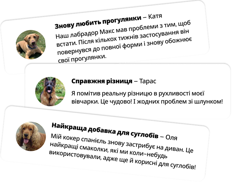 Зміцніть суглоби вашого собаки