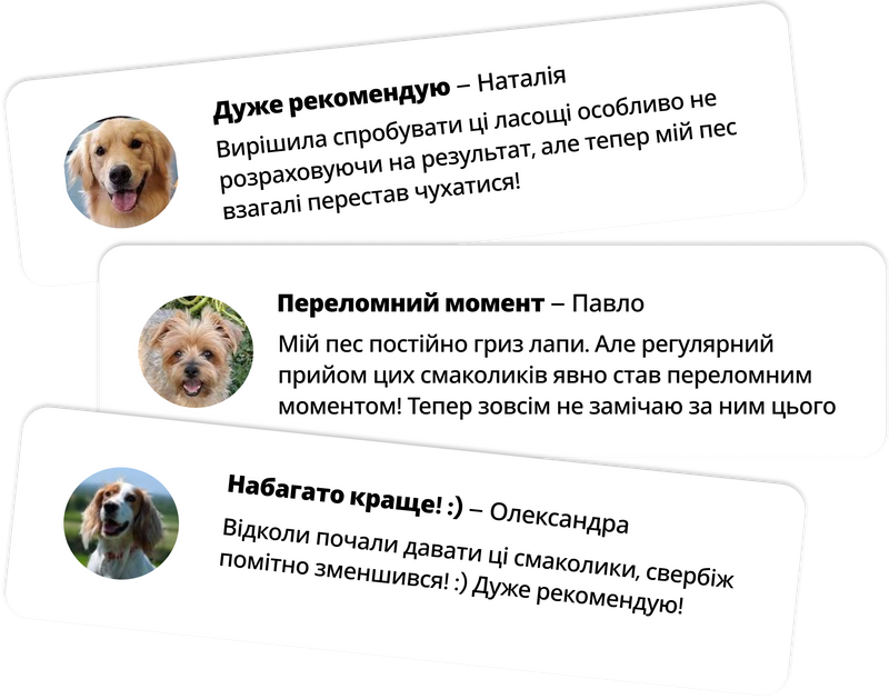 Заспокойте свербіж у вашого собаки