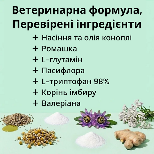120 ласощів від стресу, тривоги та страху