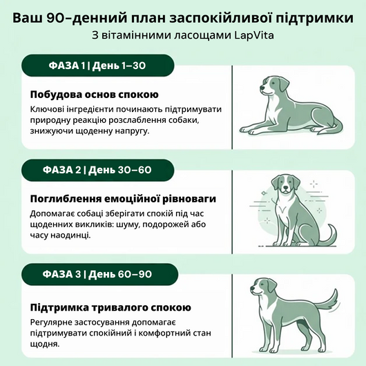 120 ласощів від стресу, тривоги та страху