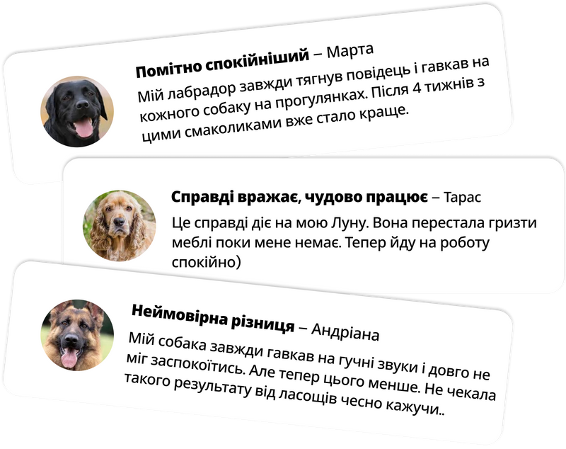 Допоможіть собаці впоратись з тривогою