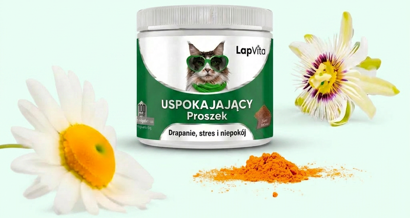 Заспокойте кота протягом 30 днів